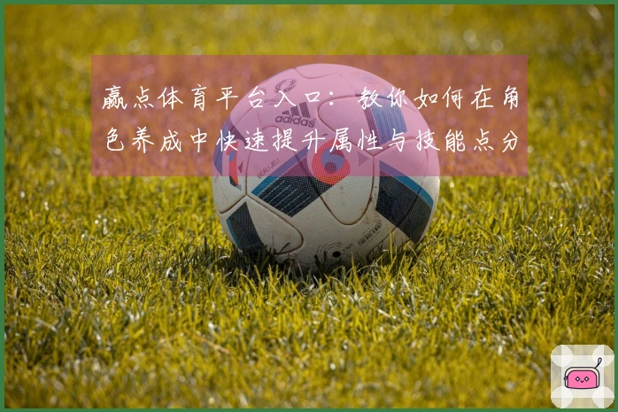 赢点体育平台入口：教你如何在角色养成中快速提升属性与技能点分配技巧