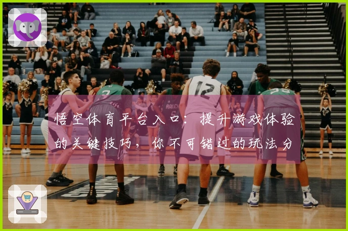 悟空体育平台入口：提升游戏体验的关键技巧，你不可错过的玩法分享