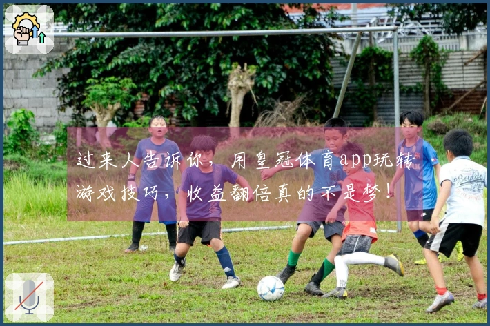过来人告诉你，用皇冠体育app玩转游戏技巧，收益翻倍真的不是梦！