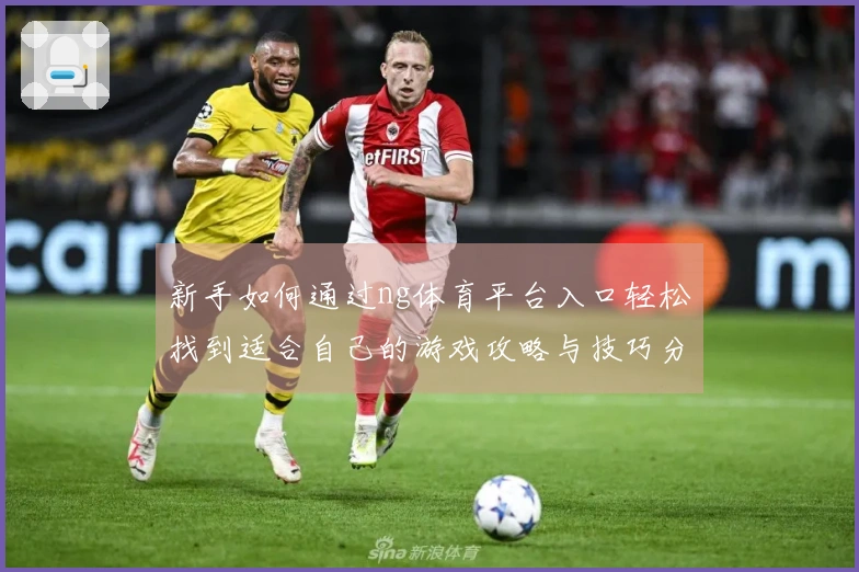 新手如何通过ng体育平台入口轻松找到适合自己的游戏攻略与技巧分享